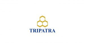 PT Tripatra Engineers and Constructors