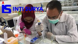 PT Inti Surya Laboratorium