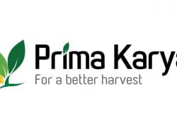 PT Prima Karya Berjaya