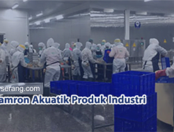 Lowongan Kerja Operator PT Tamron Akuatik Produk Industri (Pabrik Udang) Cikande