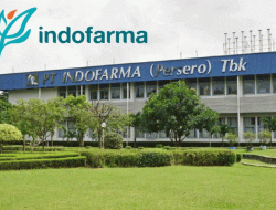 Lowongan Kerja PT Indofarma (Persero) Tbk Penempatan Serang