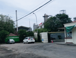 Lowongan Kerja PT Selago Makmur Plantation Cilegon